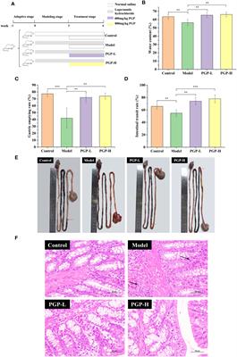 Improvement of loperamide-hydrochloride-induced intestinal motility disturbance by Platycodon grandiflorum polysaccharides through effects on gut microbes and colonic serotonin